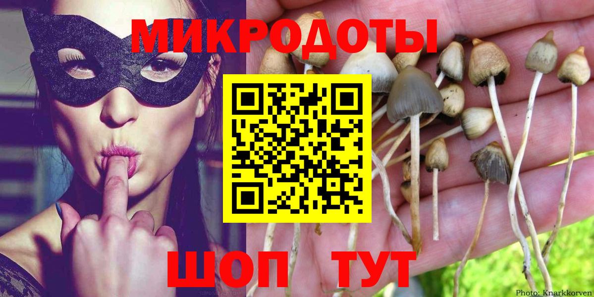 Псилоцибиновые грибы мухоморы Улан-Удэ
