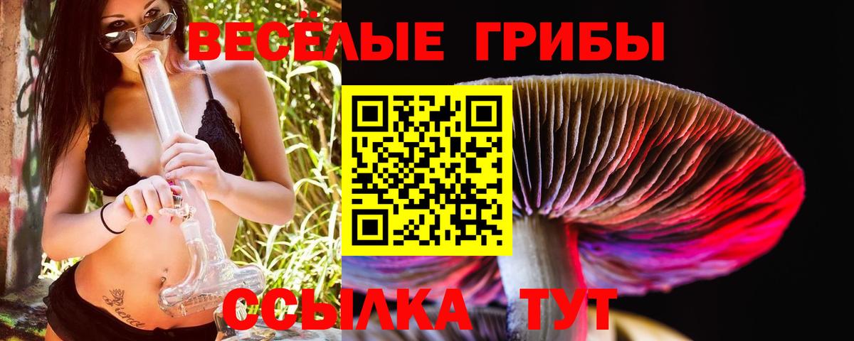 Улан-Удэ  купить закладку  Вход с VPN  Псилоцибиновые грибы Cubensis 